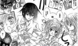 守护甜心漫画结局,命运之轮的终章