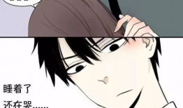 我的哥哥漫画,温馨日常与成长轨迹